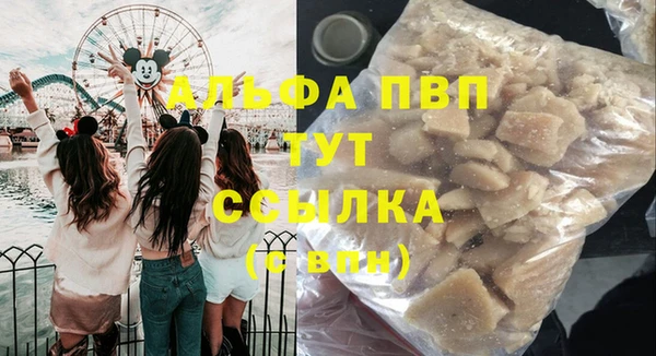 ECSTASY Богородицк