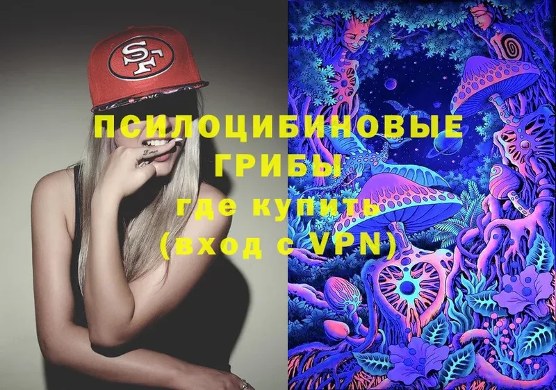 Псилоцибиновые грибы Psilocybine cubensis  Новодвинск 